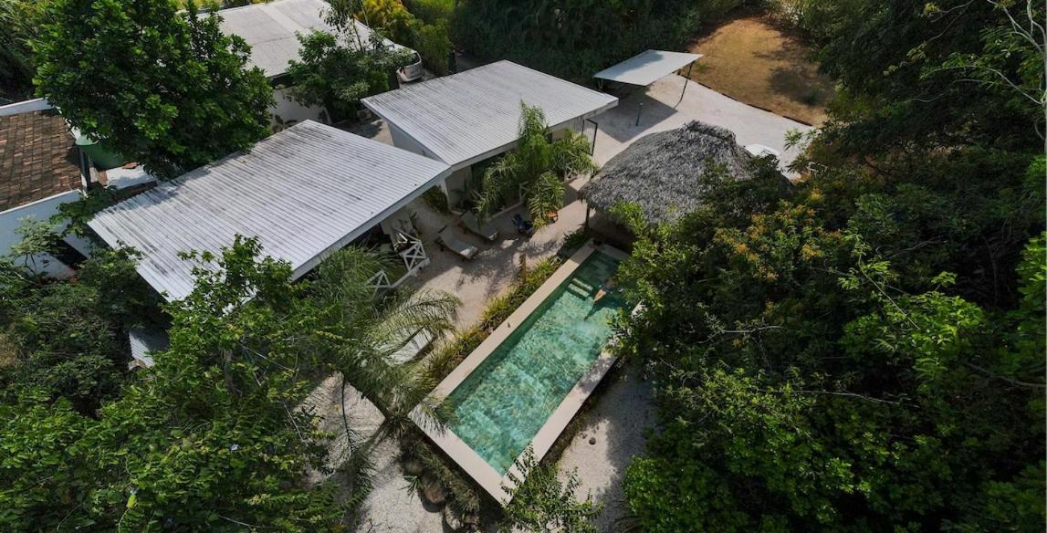Antema Lodge Secteur Tamarindo, Piscine, Yoga, Gym, Jungle Et Paix Extérieur photo