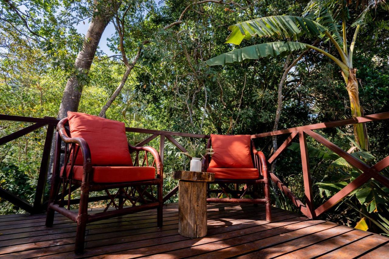 Antema Lodge Secteur Tamarindo, Piscine, Yoga, Gym, Jungle Et Paix Extérieur photo